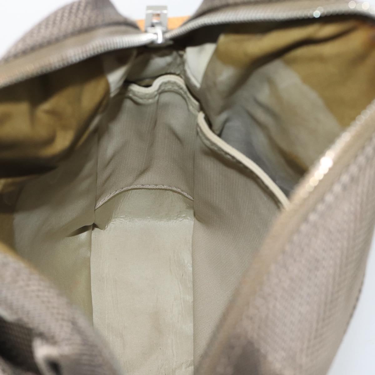 LOUIS VUITTON Damier Geant Sitadan NM Shoulder Bag Tail M93224 LV Auth BA14091