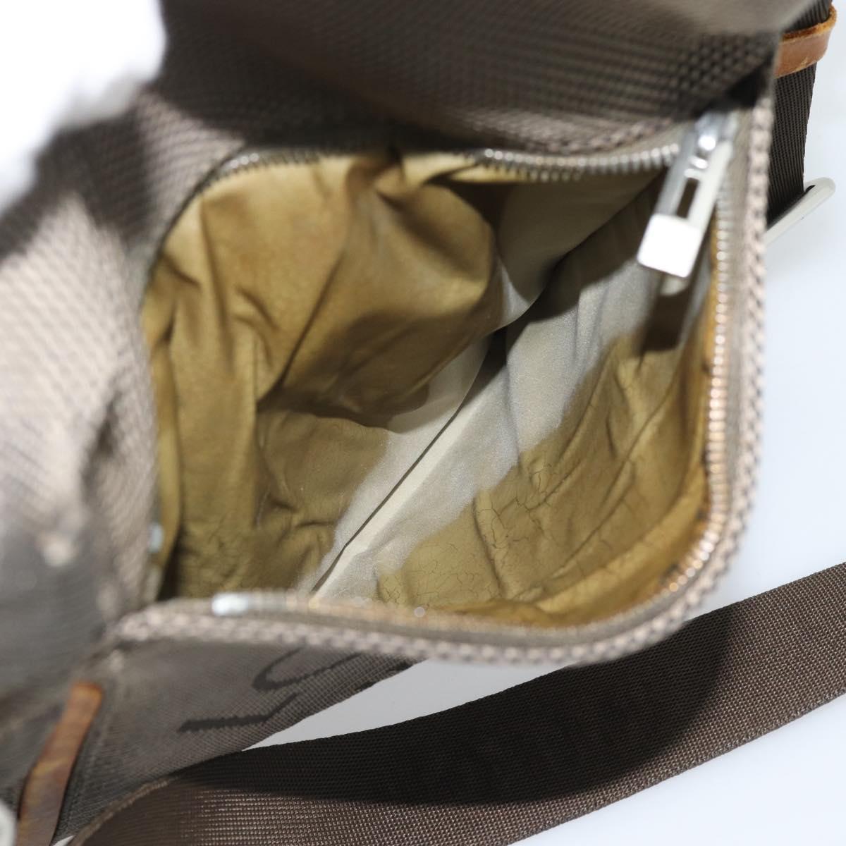 LOUIS VUITTON Damier Geant Sitadan NM Shoulder Bag Tail M93224 LV Auth BA14091