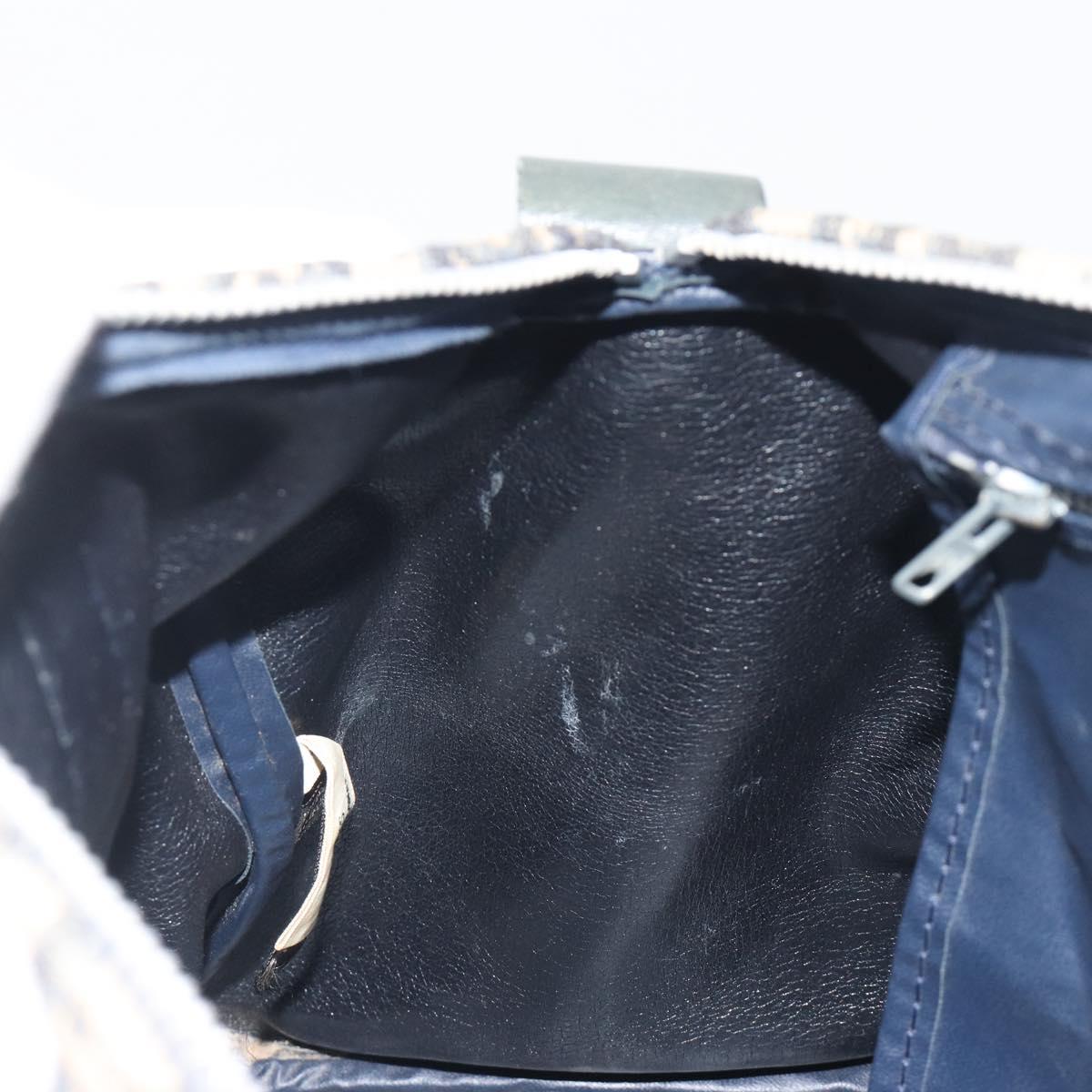 Christian Dior Trotter Canvas Hand Bag Navy Gold Tone Auth BA14570