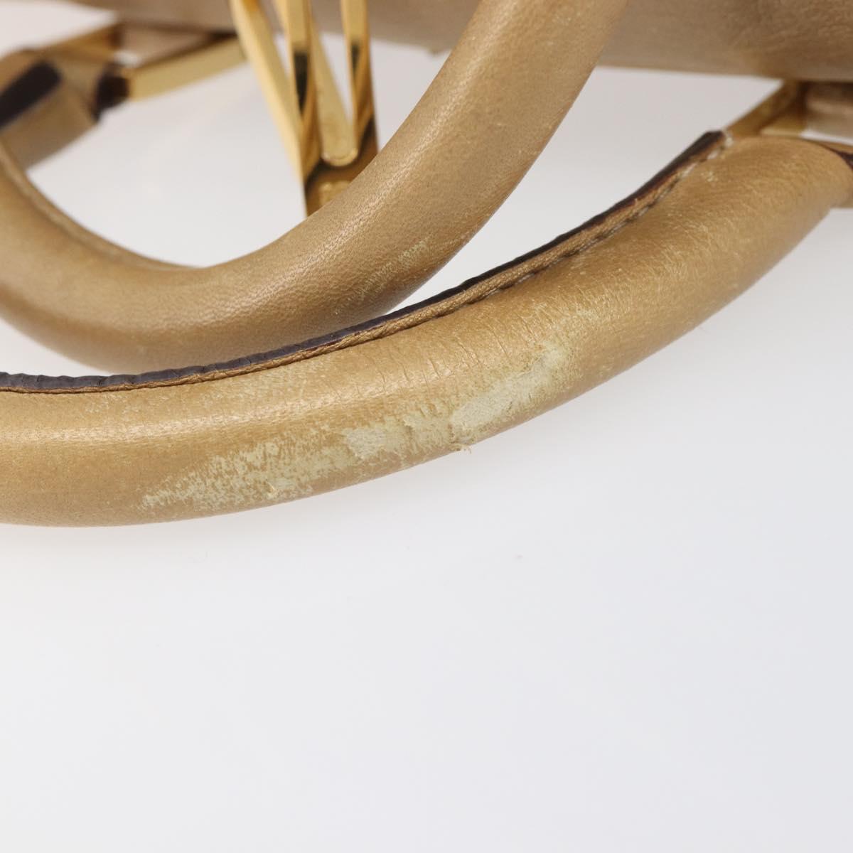 LOEWE Amazona 28 Hand Bag Leather Gold Auth BA16120