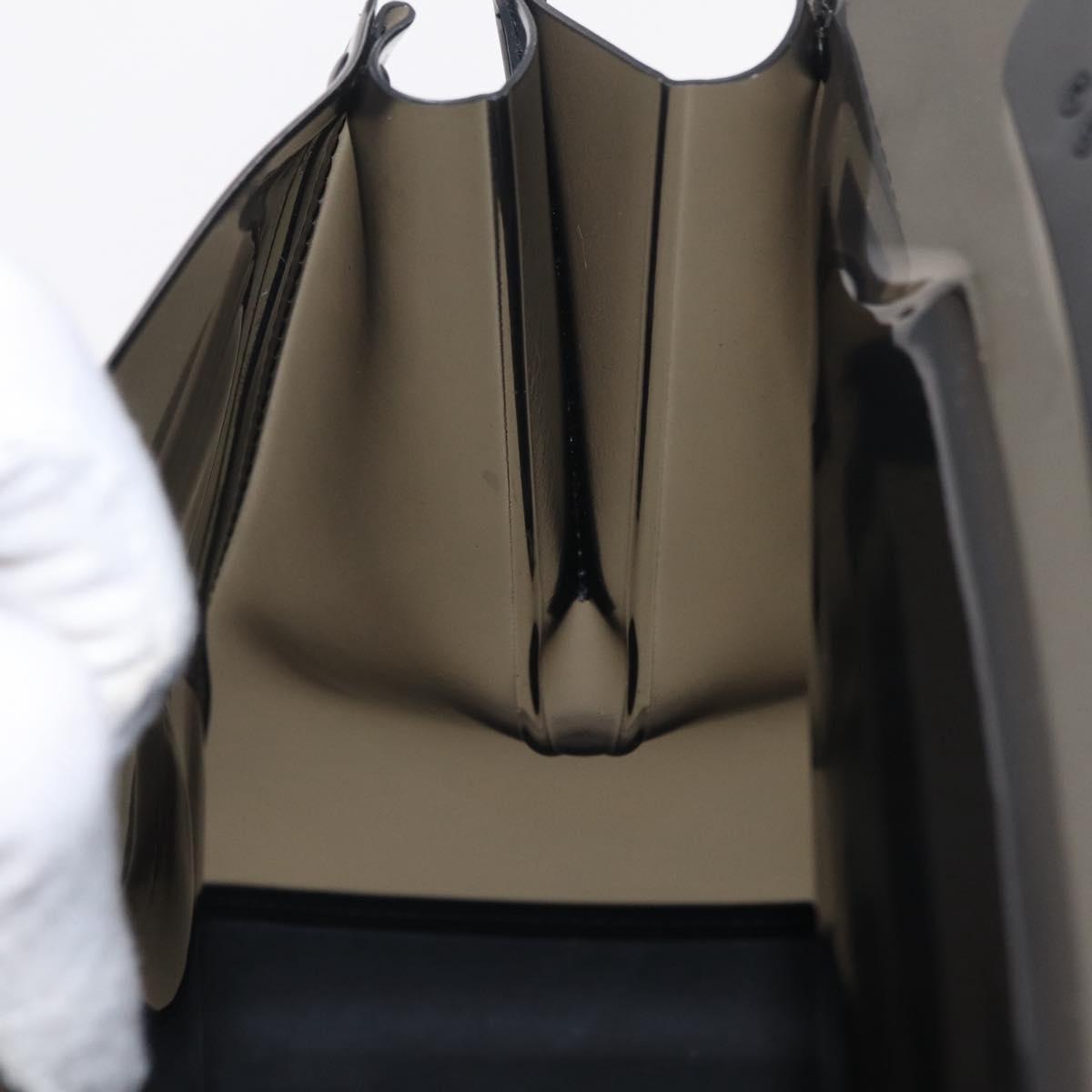 DELVAUX Brillon MM Champion Hand Bag Vinyl 2way Black White Auth BA16209V