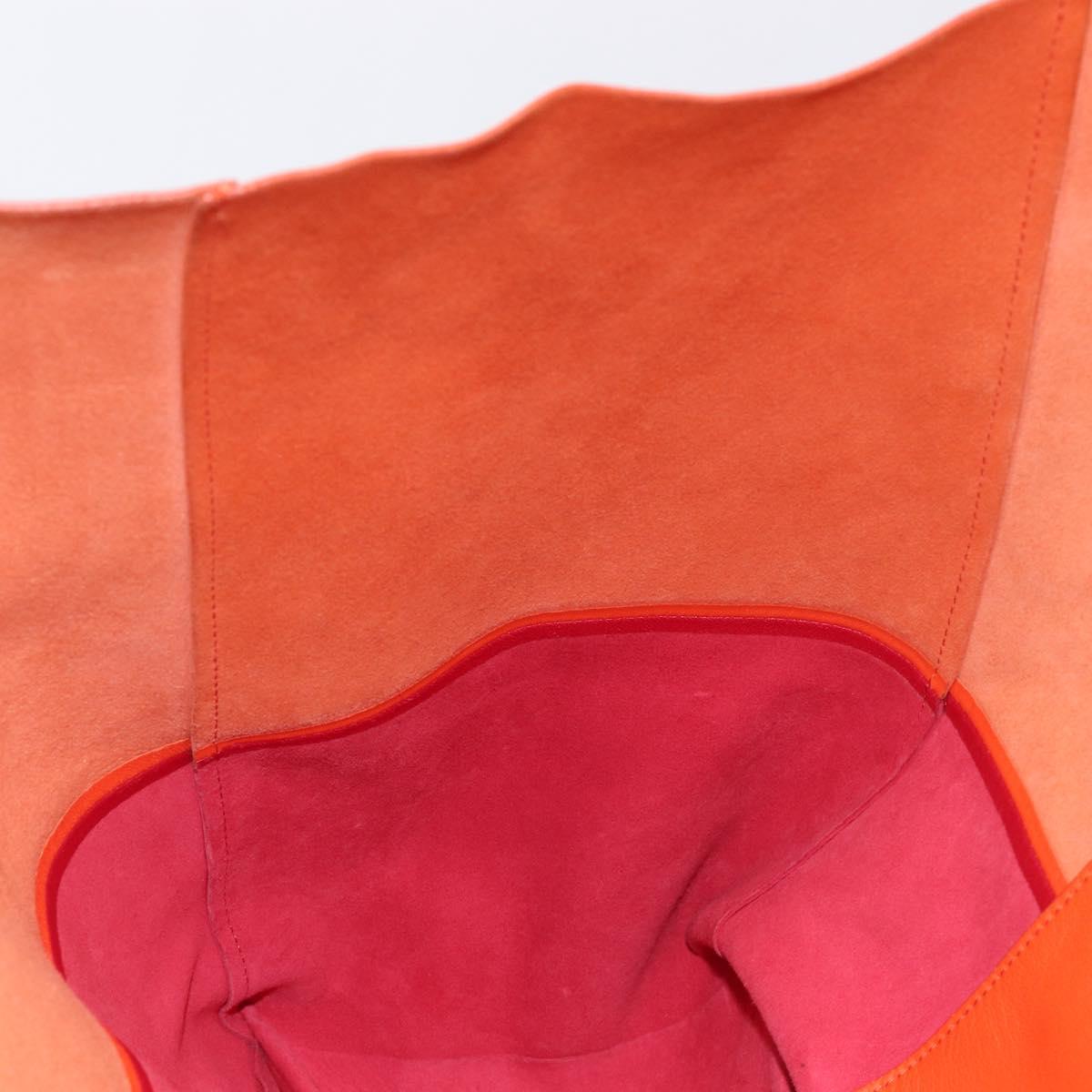 CELINE Horizontal Cabas Tote Bag Leather Orange Gold Tone Auth BA16620A