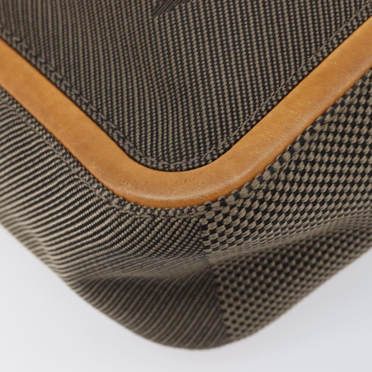 LOUIS VUITTON Damier Geant Sitadan Shoulder Bag Tail M93041 LV Auth BA17036