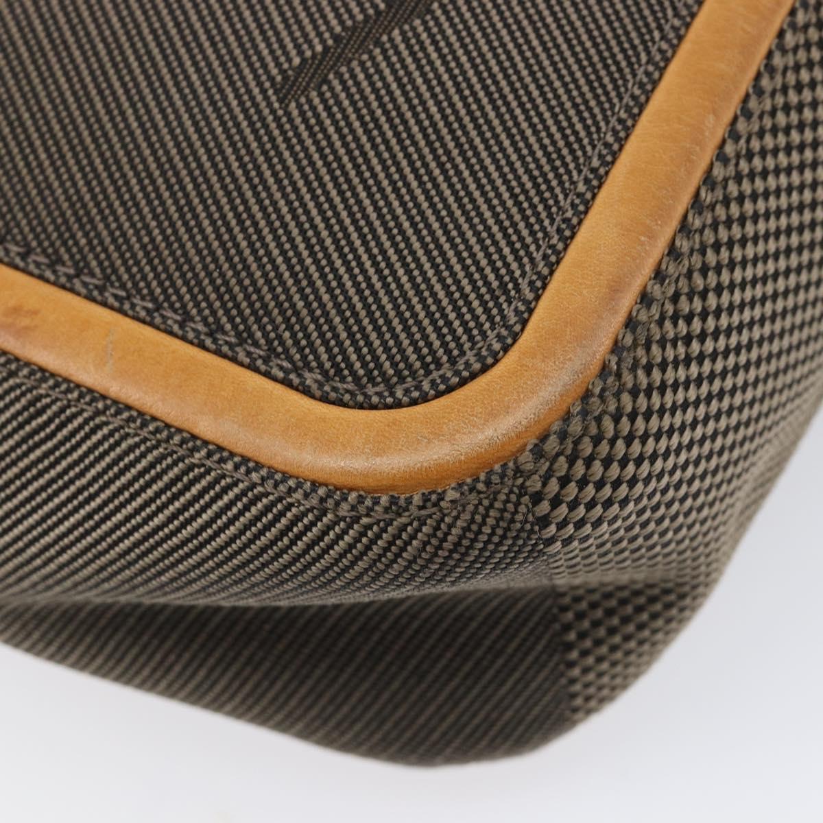 LOUIS VUITTON Damier Geant Sitadan Shoulder Bag Tail M93041 LV Auth BA17036