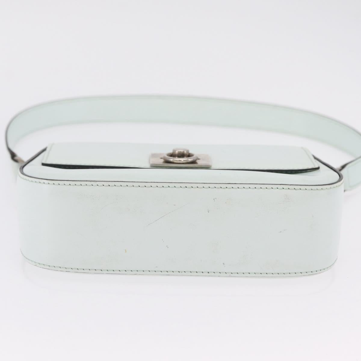 CELINE Shoulder Bag Leather Peppermint Silver Auth BA3419