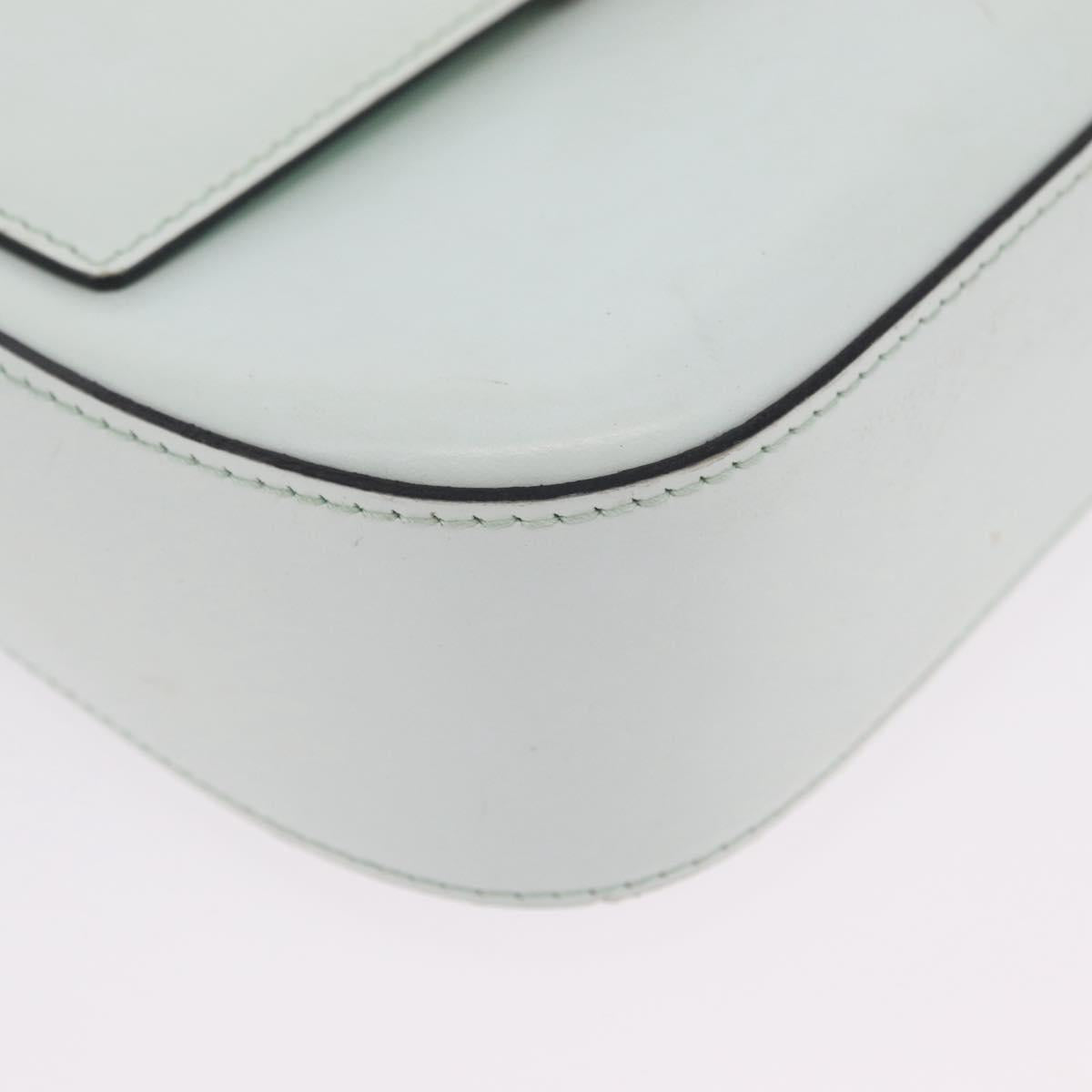 CELINE Shoulder Bag Leather Peppermint Silver Auth BA3419