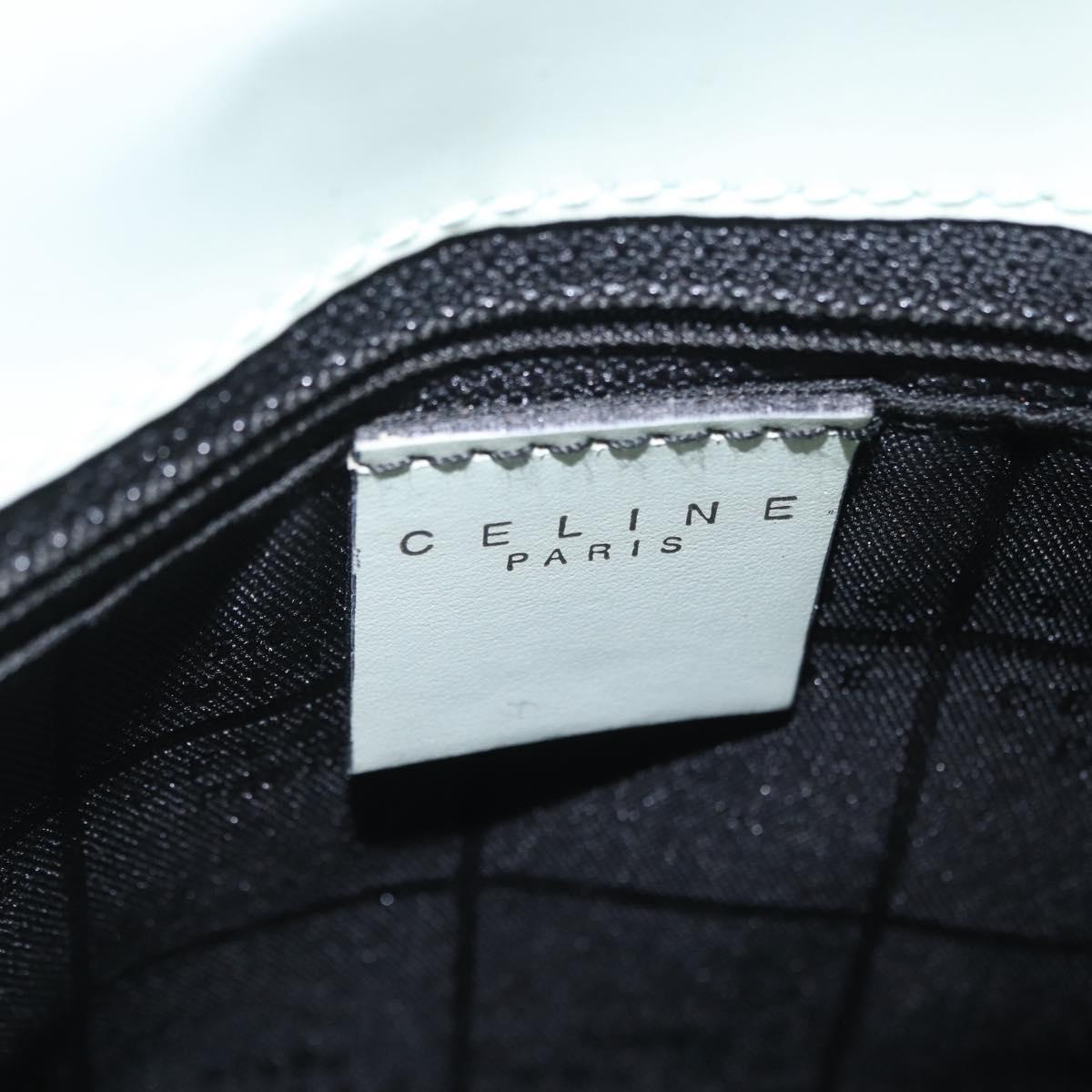 CELINE Shoulder Bag Leather Peppermint Silver Auth BA3419