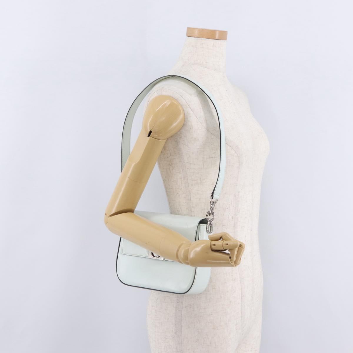 CELINE Shoulder Bag Leather Peppermint Silver Auth BA3419