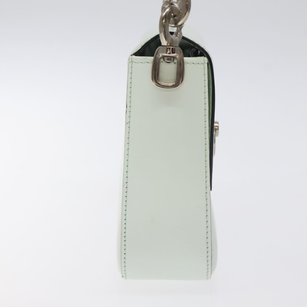 CELINE Shoulder Bag Leather Peppermint Silver Auth BA3419