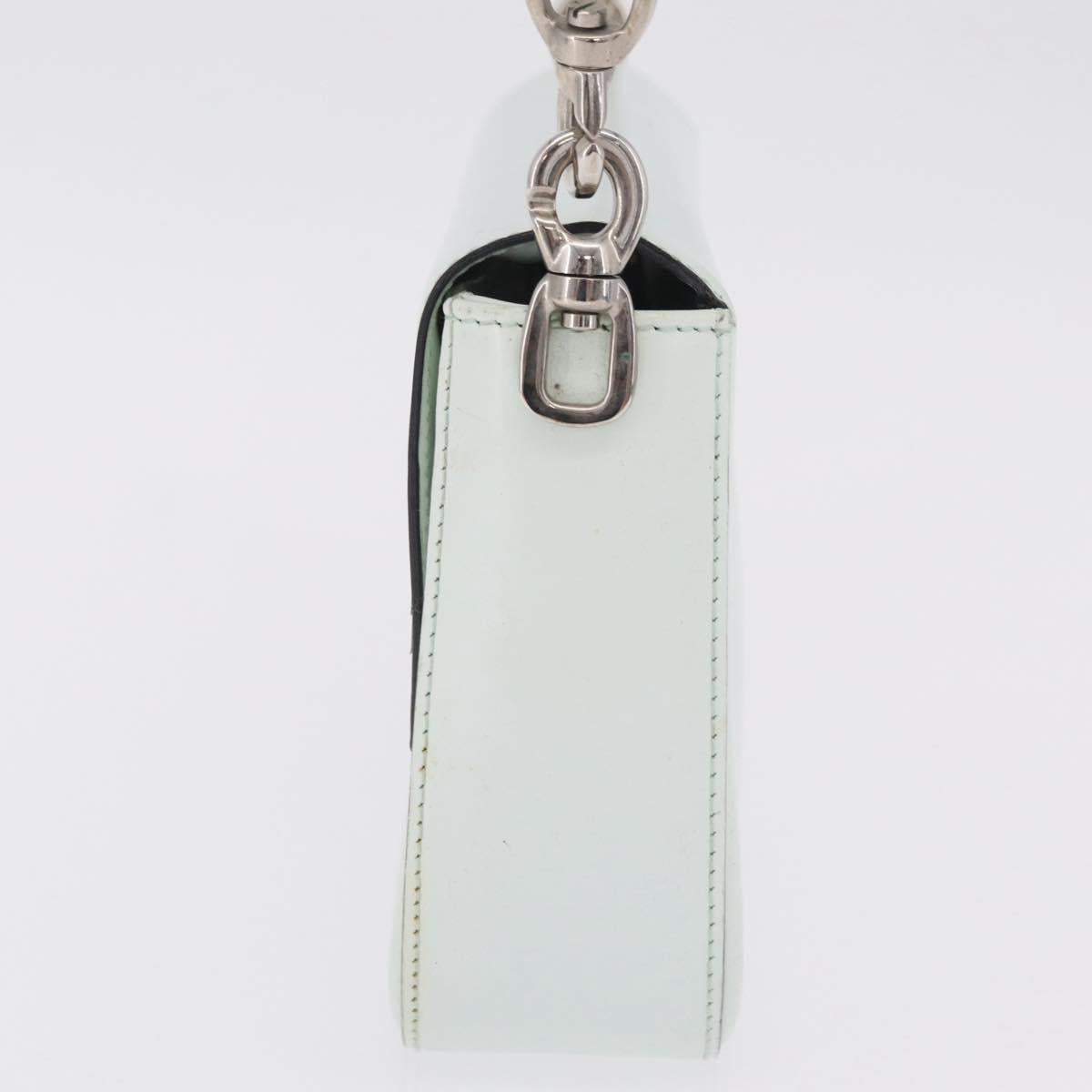 CELINE Shoulder Bag Leather Peppermint Silver Auth BA3419