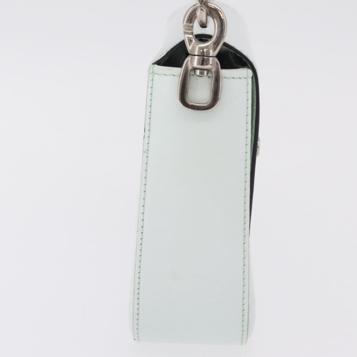 CELINE Shoulder Bag Leather Peppermint Silver Auth BA3419