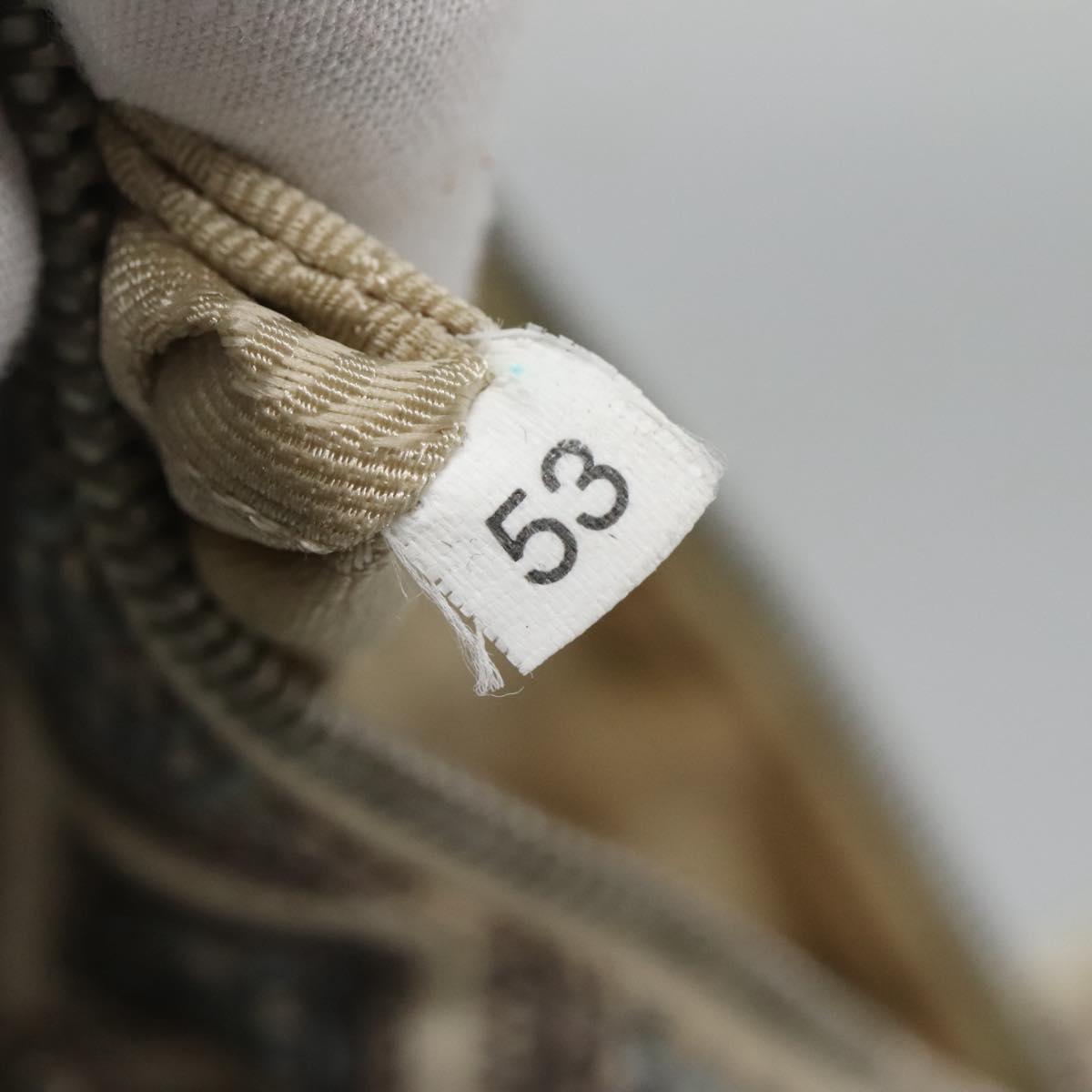 PRADA Shoulder Bag Nylon Beige Silver Auth BA4686