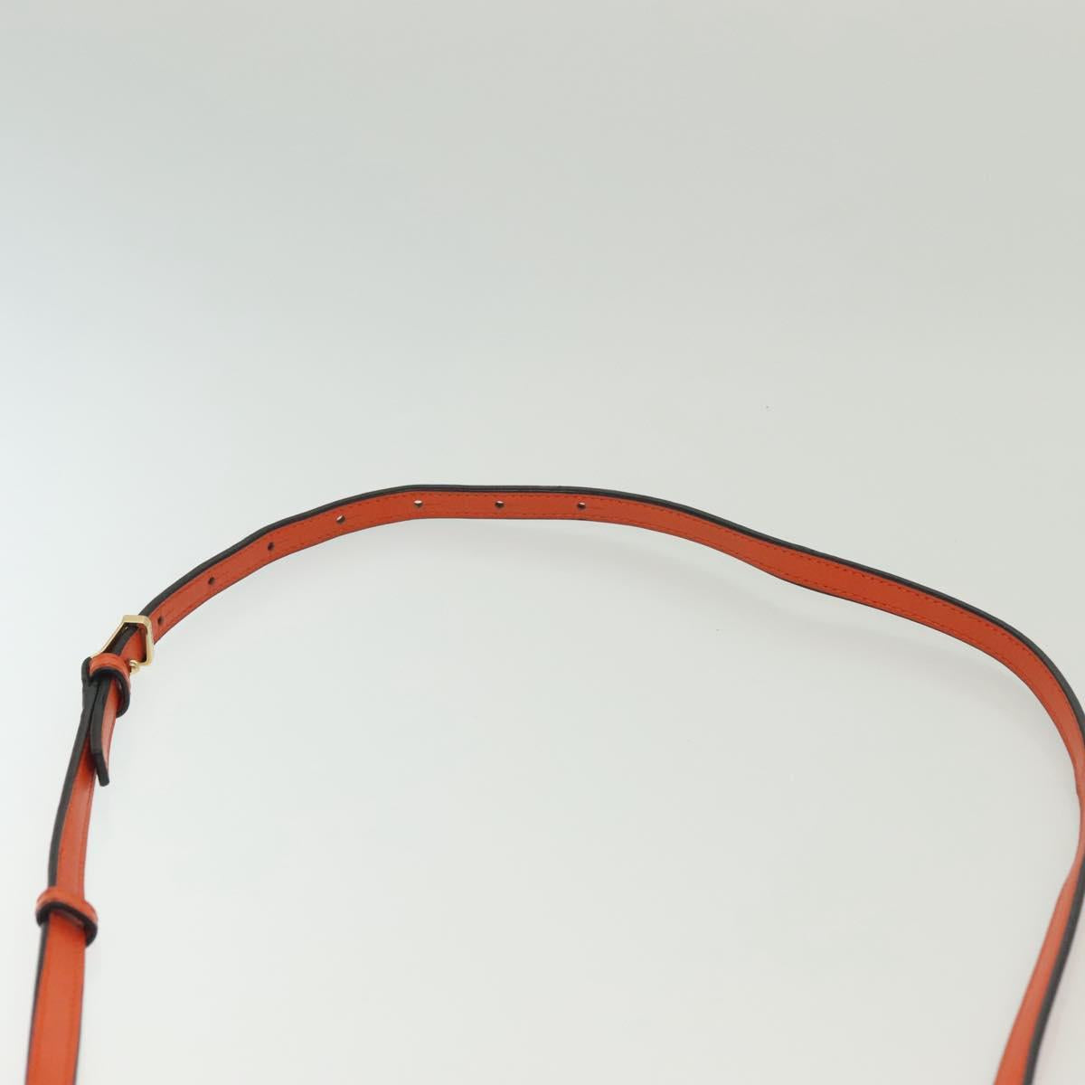 LOEWE Barcelona Shoulder Bag Leather Orange Auth BA4778