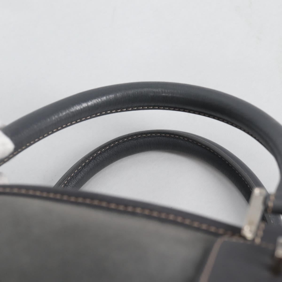 LOEWE Anagram Amazona 36 Hand Bag Suede Gray Silver Auth BA5158V
