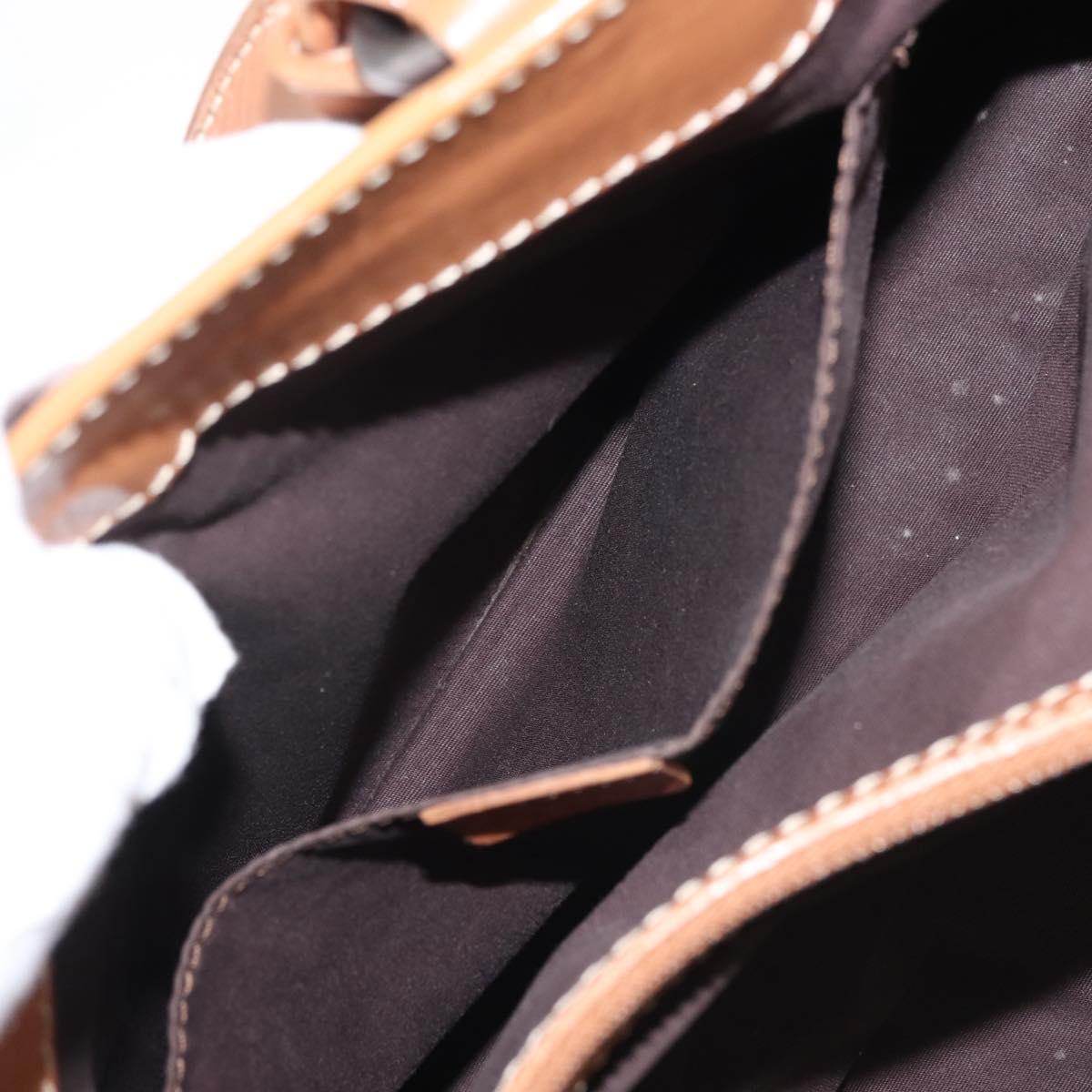 CELINE Boogie bag Hand Bag Leather Brown Auth BA6238