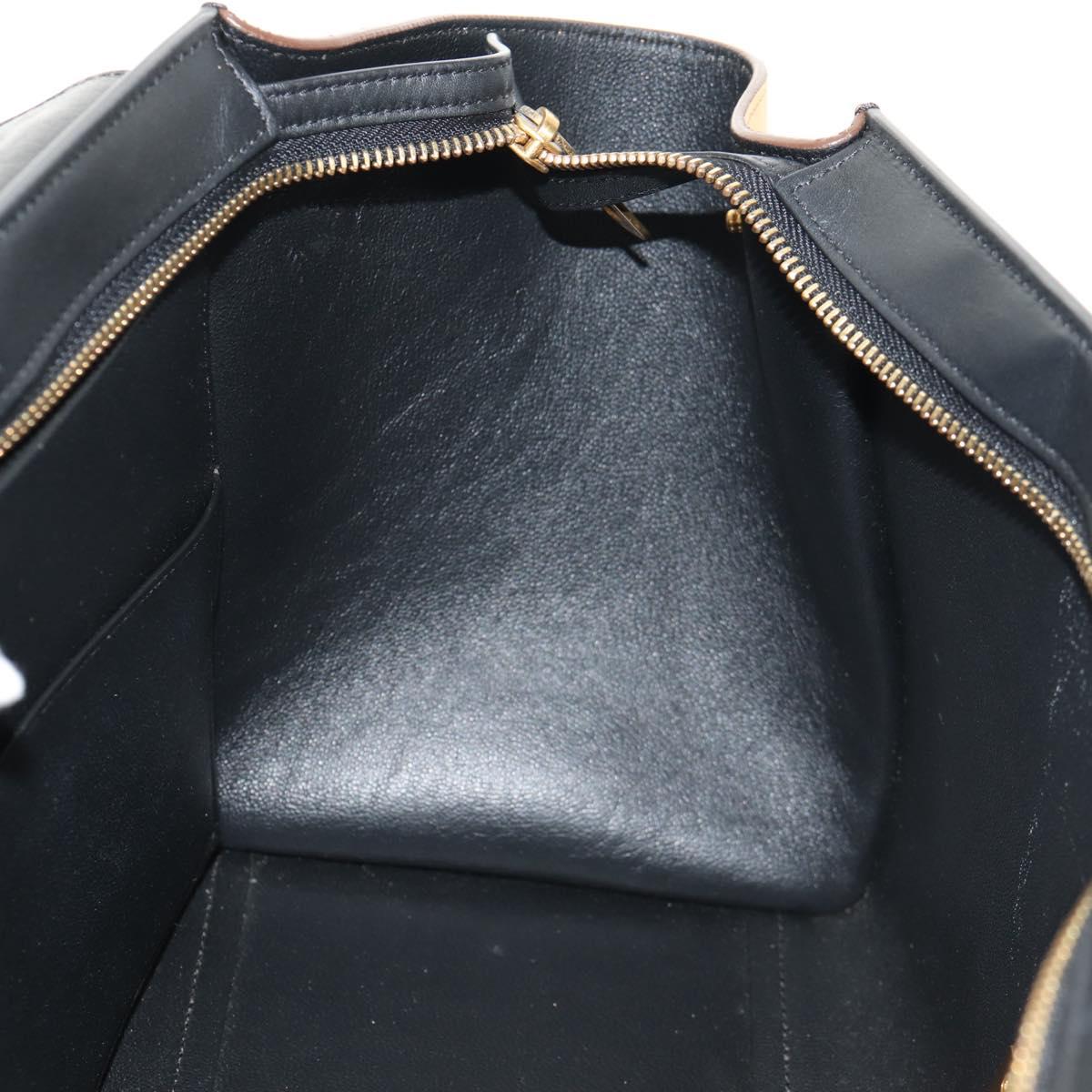 CELINE Trapeze Hand Bag Leather Suede 2way Beige Black gold Auth BA7053
