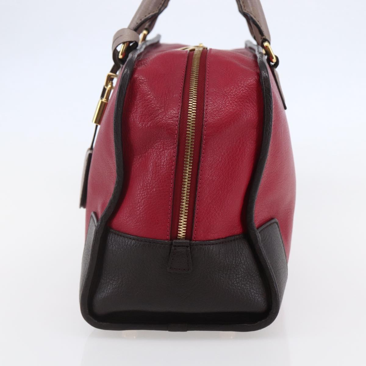 LOEWE Anagram Amazona 36 Hand Bag Leather Red Gold Auth BA7089