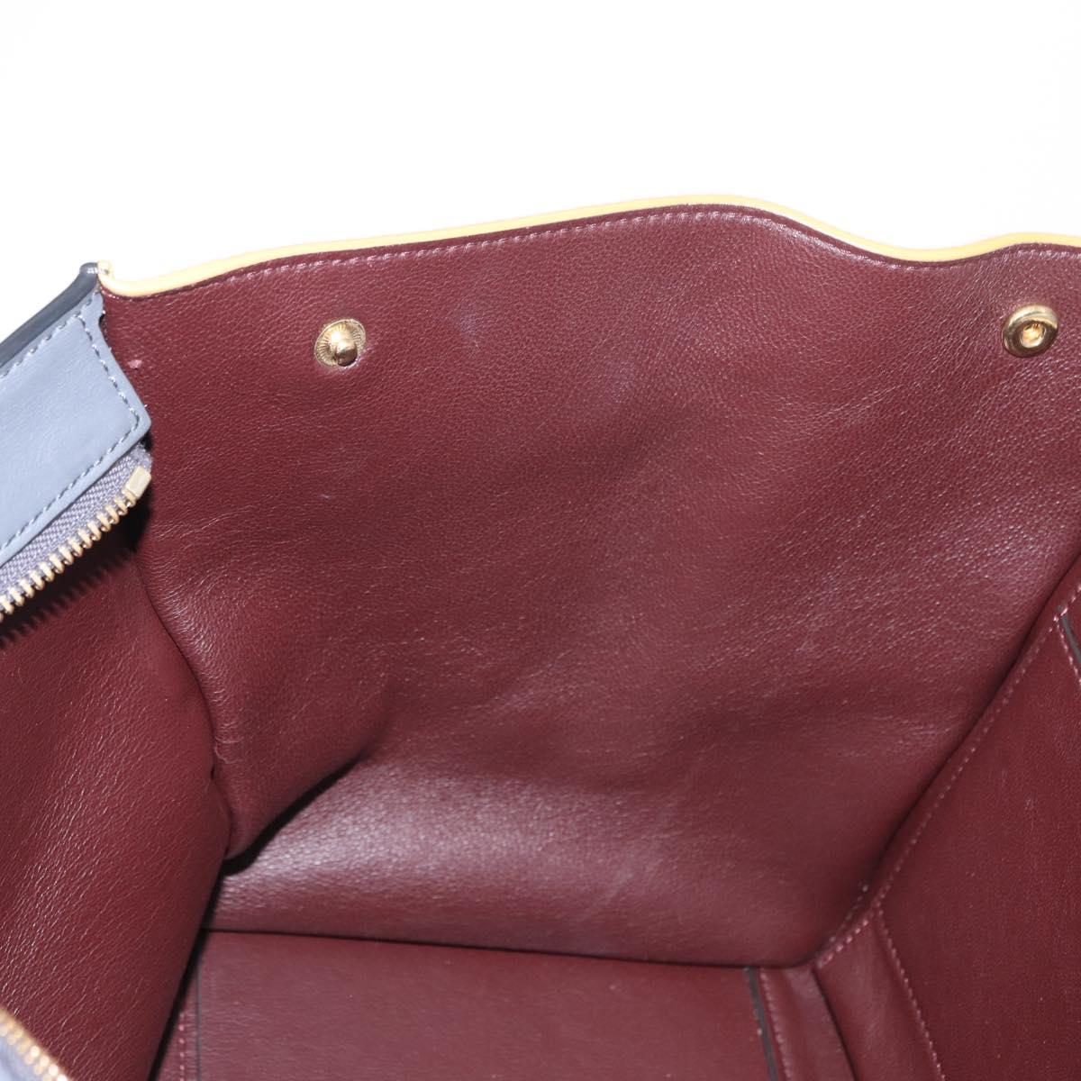 CELINE Trapeze Medium Hand Bag Leather 2way Gray Gold Auth BA7555