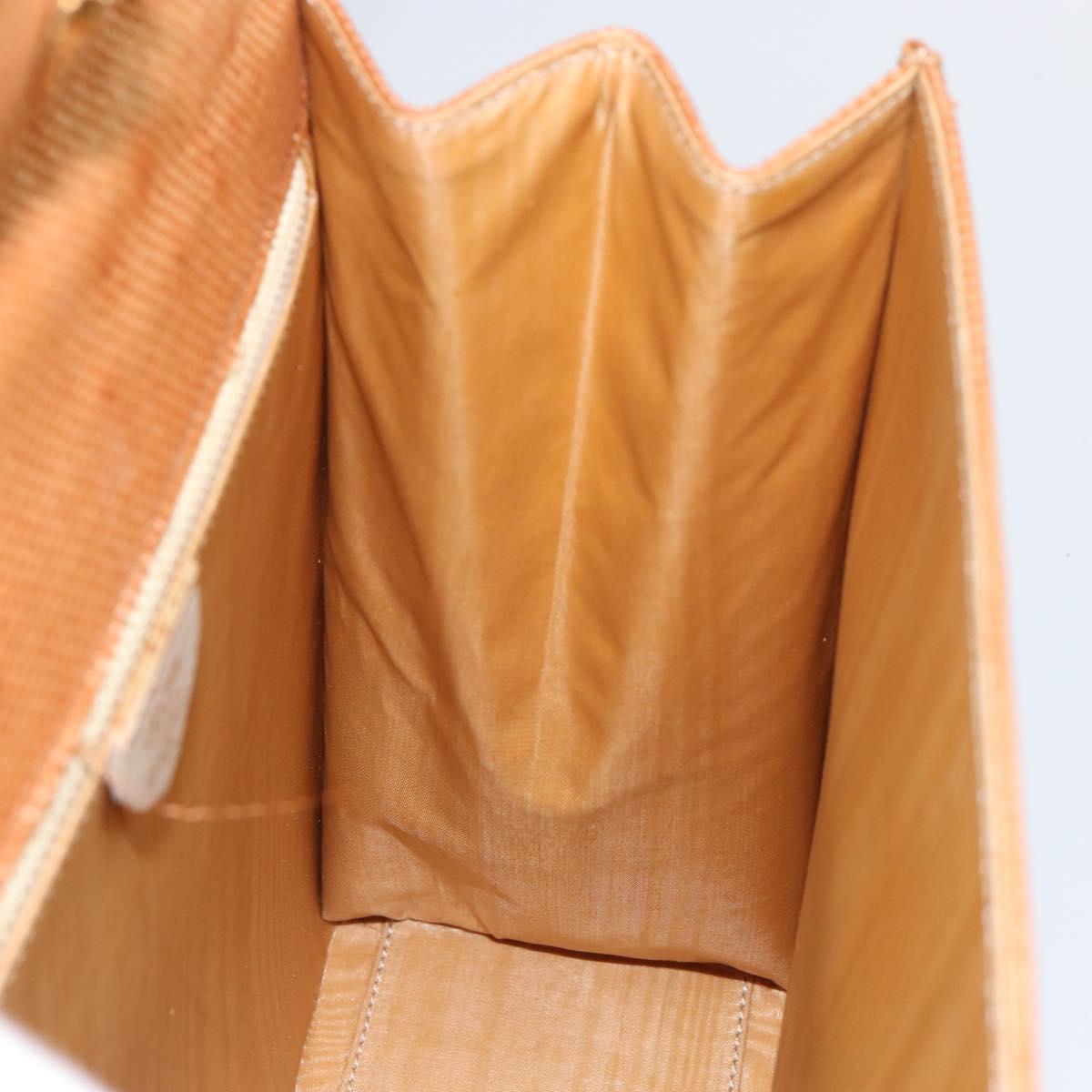 CELINE Hand Bag Raffia Brown Gold Auth BA8178