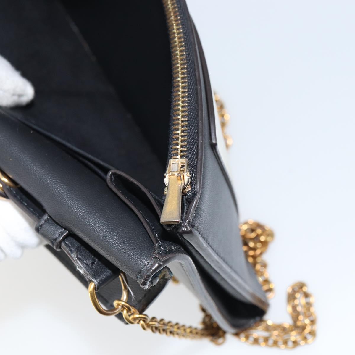 CELINE Chain Shoulder Wallet Bag Leather Multicolor Gold Auth BA8968