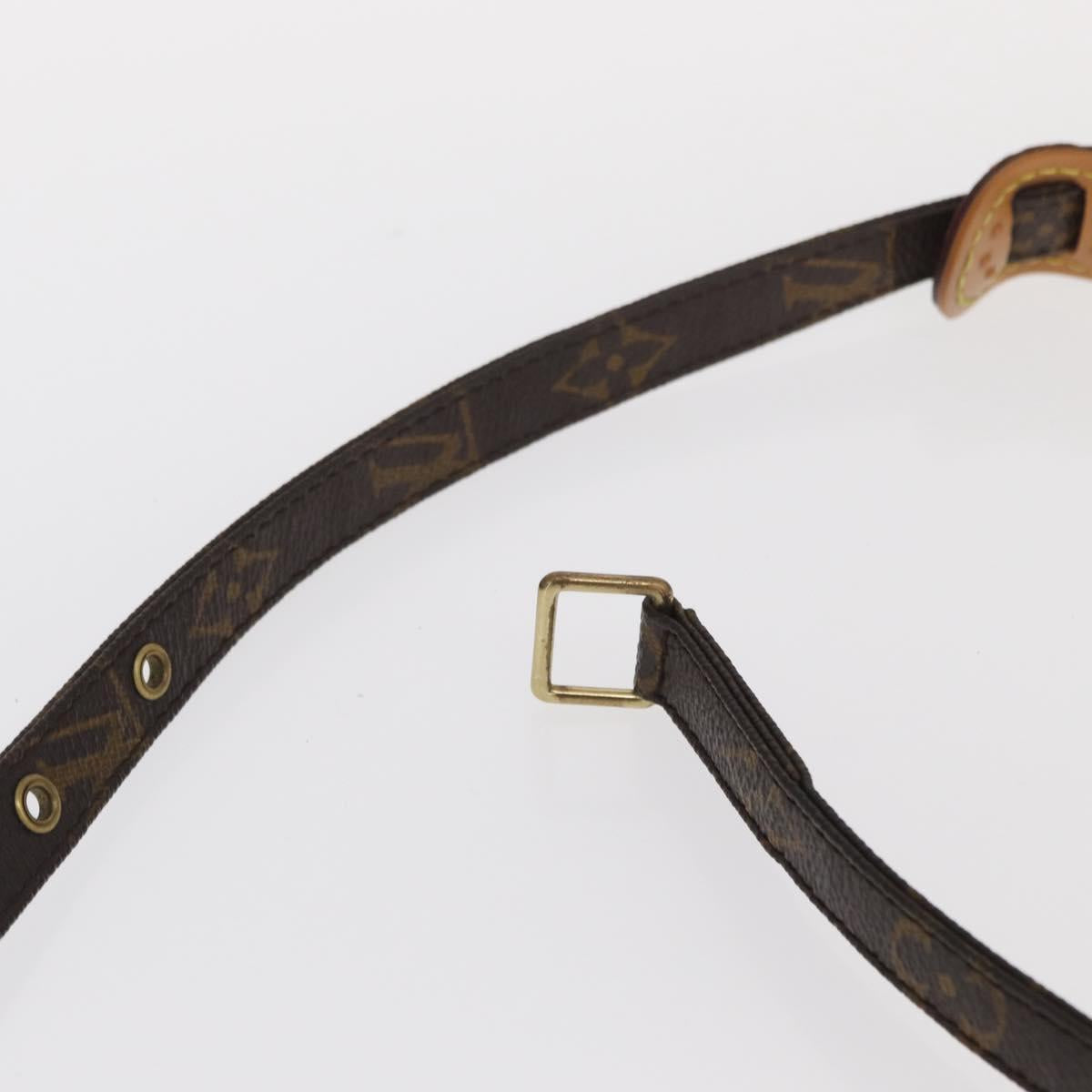 LOUIS VUITTON Monogram Danube Shoulder Bag M45266 LV Auth BA9144