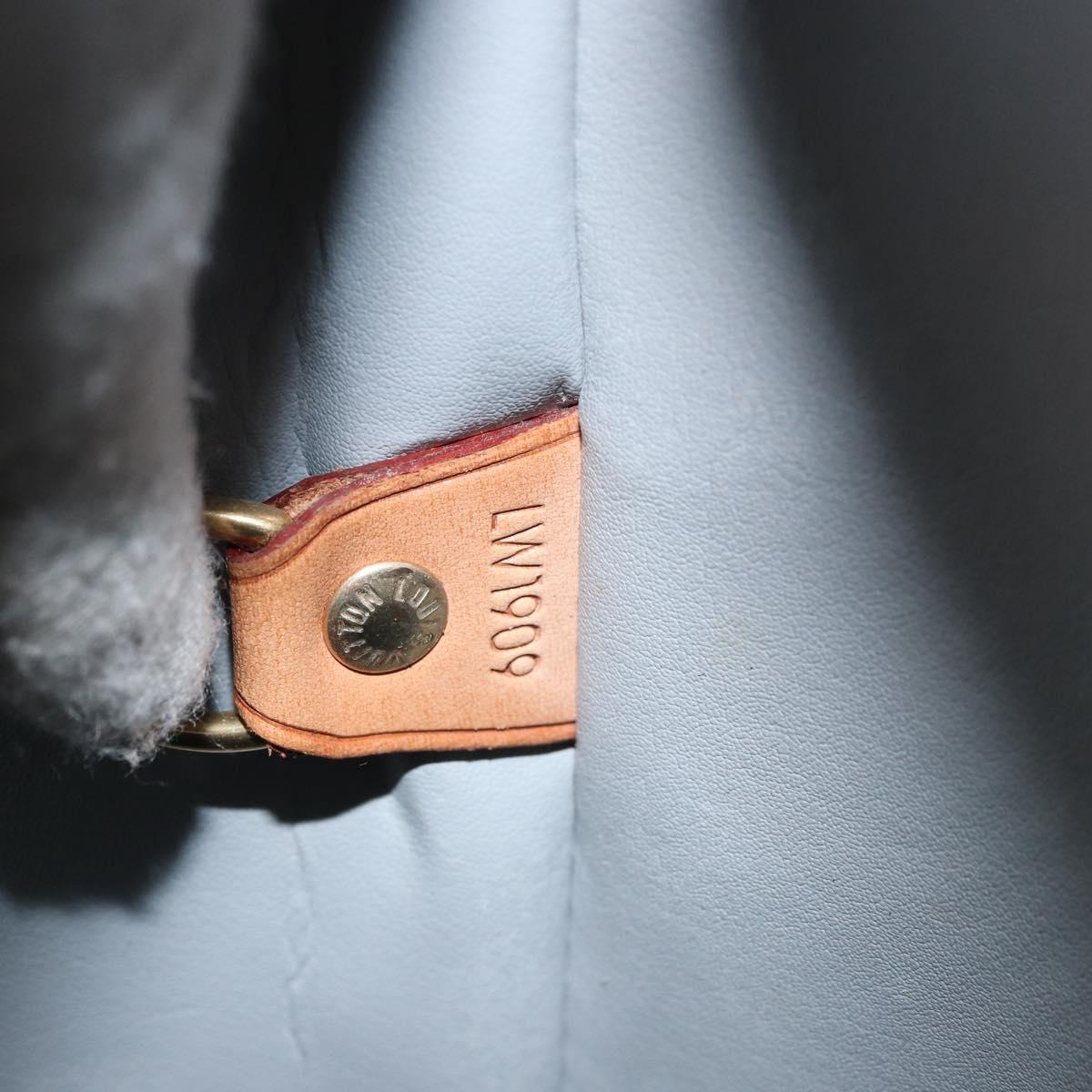 LOUIS VUITTON Monogram Vernis Houston Hand Bag Gris M91053 LV Auth BA9708