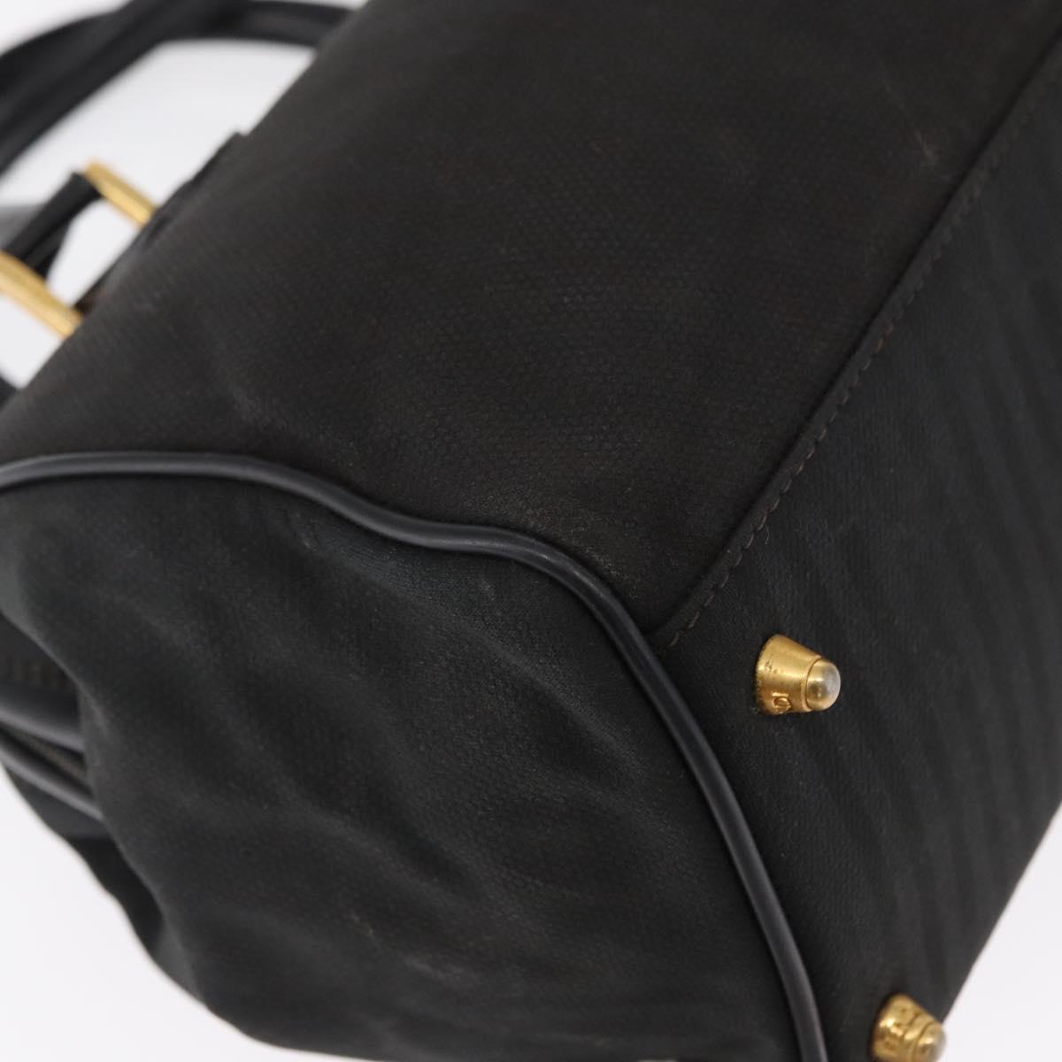 FENDI Pecan Canvas Hand Bag Black Brown gold Auth BA9717