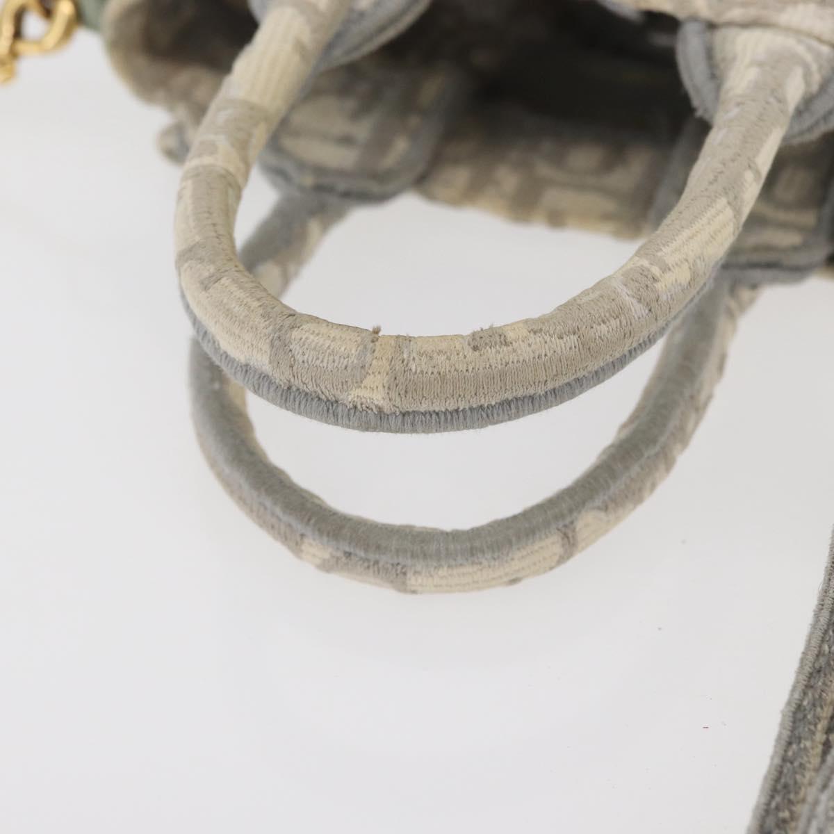Christian Dior Trotter Canvas Book Tote Vertical Bag Mini Bag 2way Auth BAZ782A