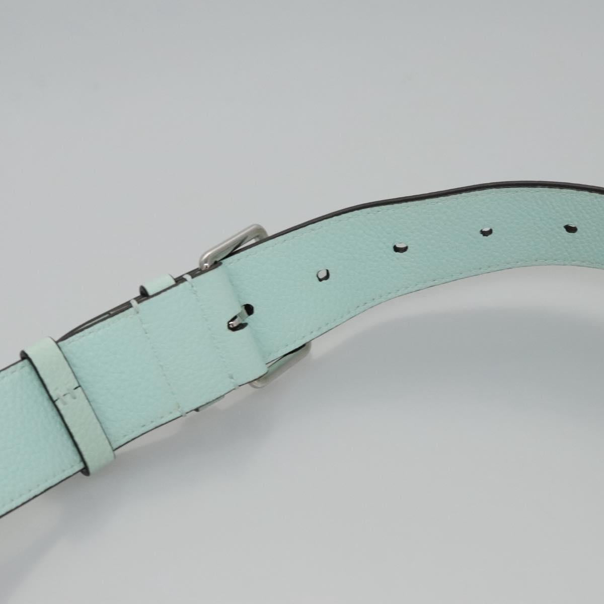 Salvatore Ferragamo Gancini Shoulder Bag Leather Silver Peppermint Auth BD070AV