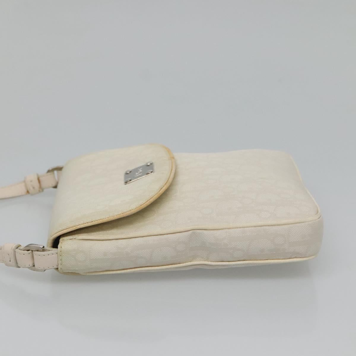 Christian Dior Trotter Canvas Shoulder Bag Nylon White Silver Auth BD1628