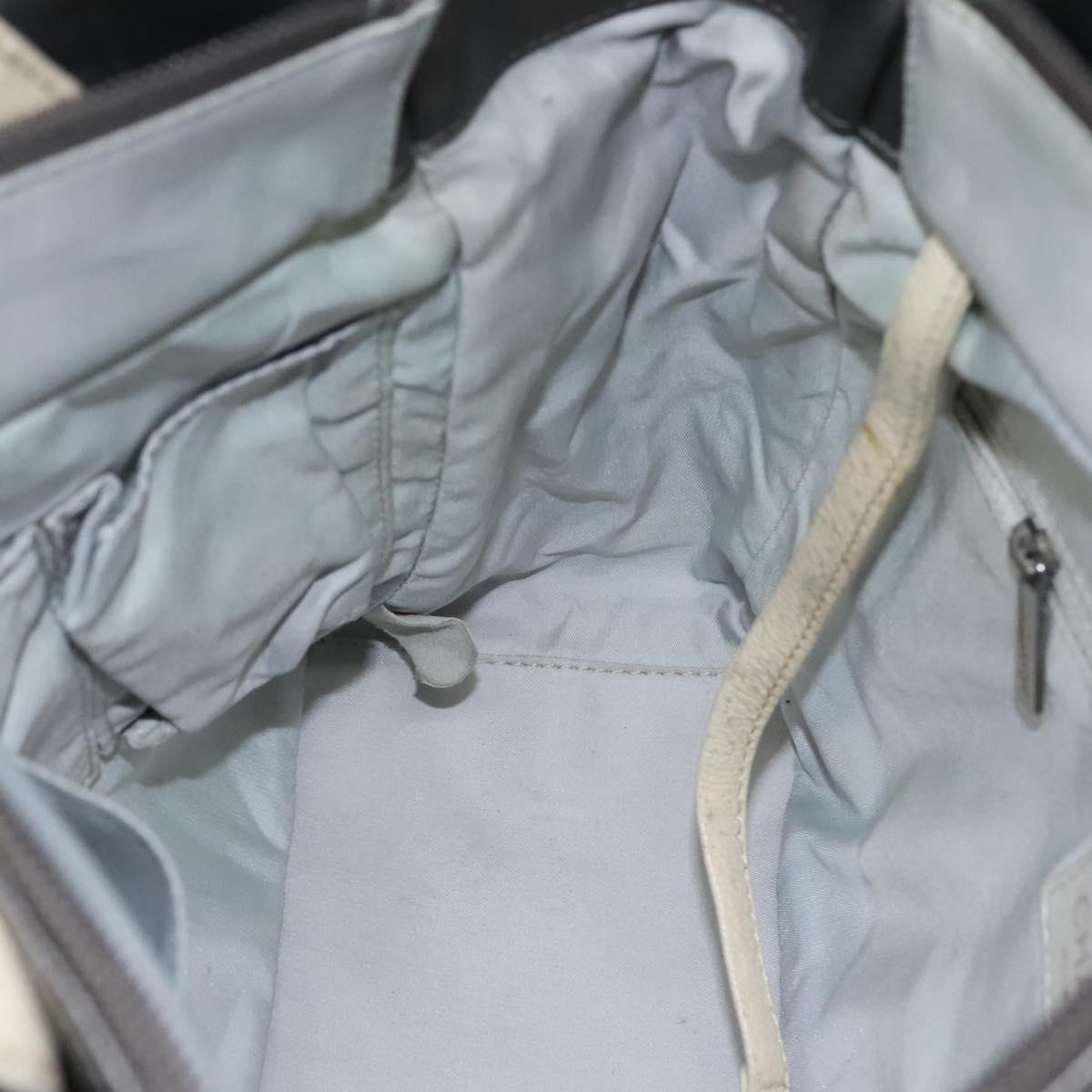 CHANEL Paris Biarritz PM Tote Bag Coated Canvas Silver CC Auth bs23887