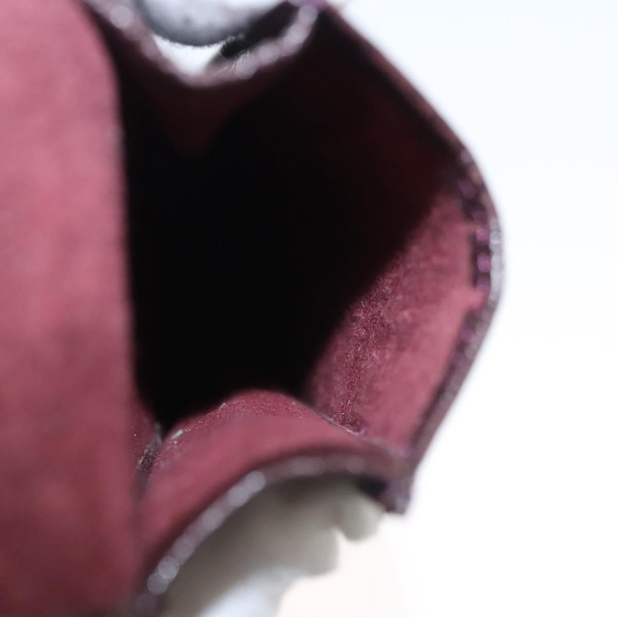 LOUIS VUITTON Taiga Dog Solo Pen Case Acajou LV Auth bs24147