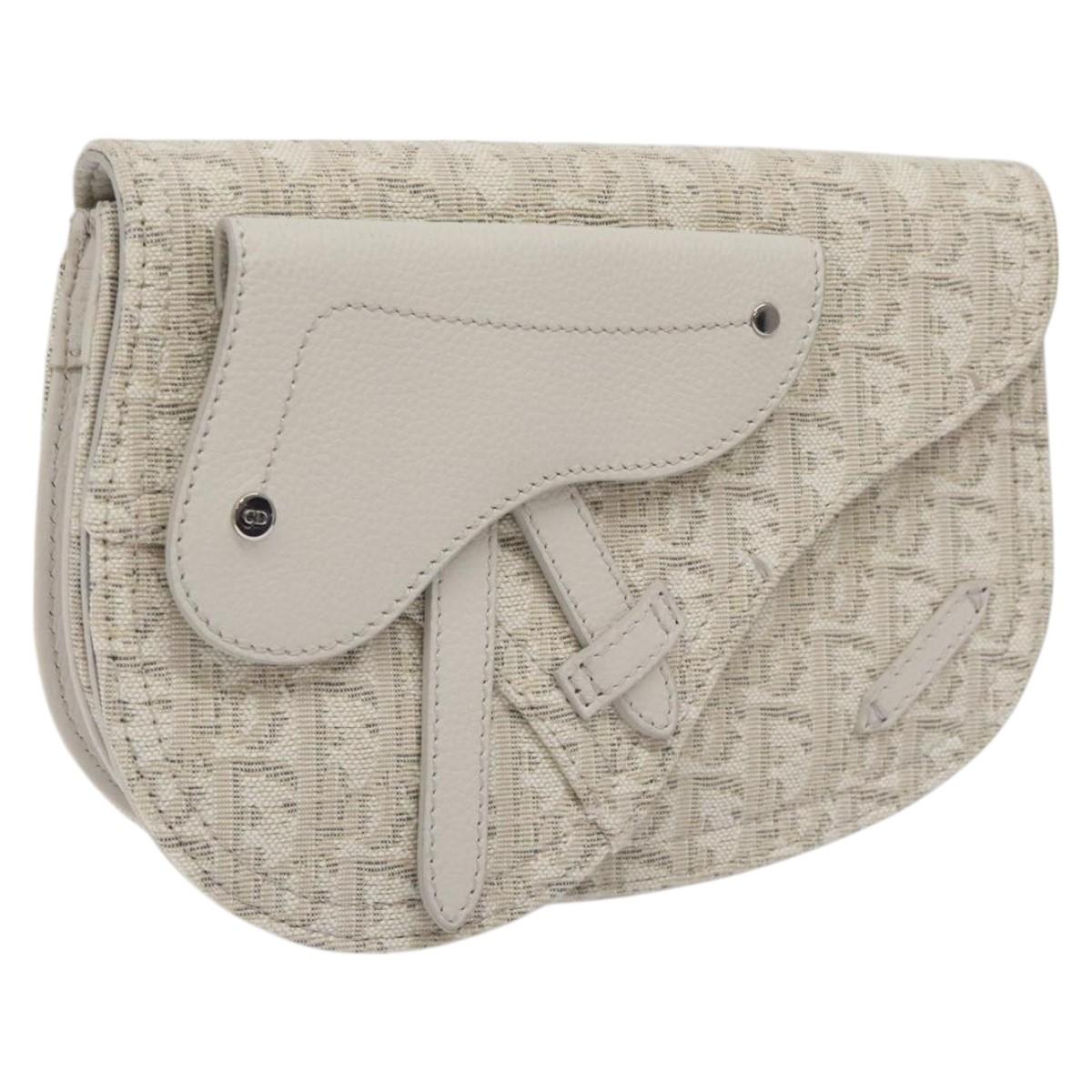 Christian Dior Trotter Canvas Saddle Clutch Bag White Silver Auth bs24225