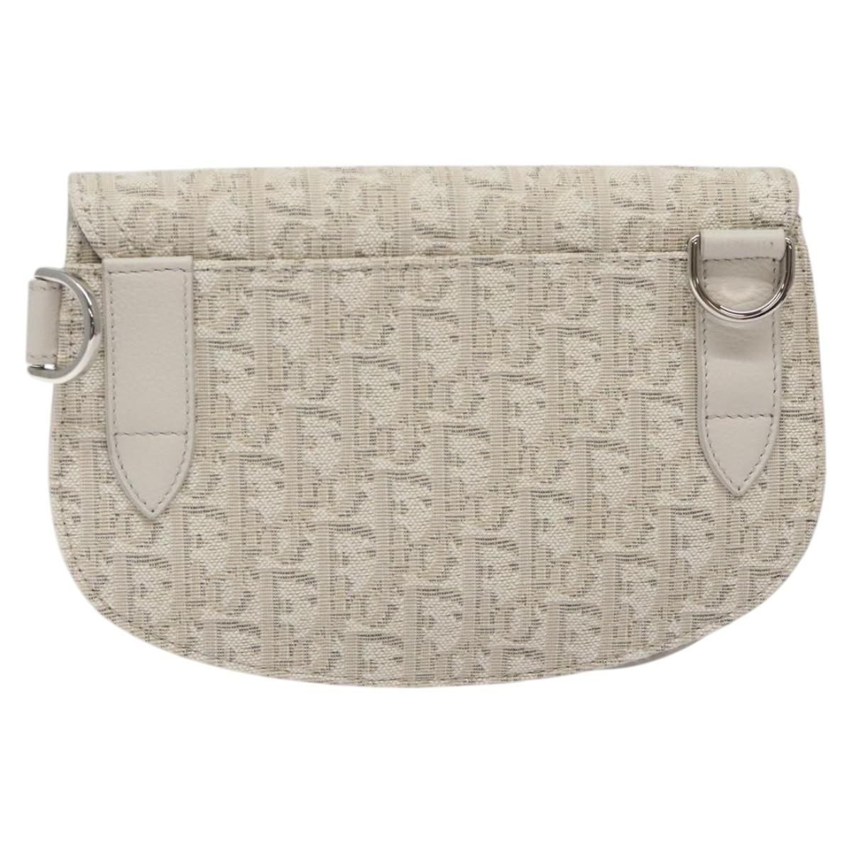 Christian Dior Trotter Canvas Saddle Clutch Bag White Silver Auth bs24225