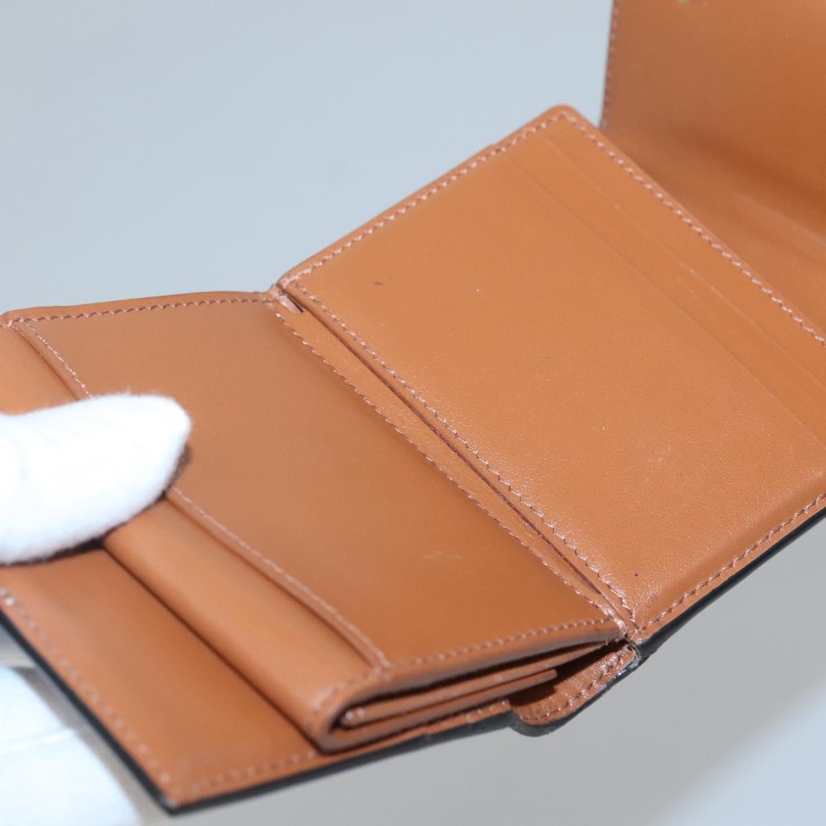 CELINE Triomphe Wallet PVC Brown Auth bs25348