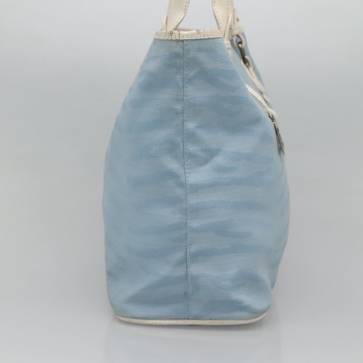FENDI Tote Bag Canvas Light Blue Auth bs25841