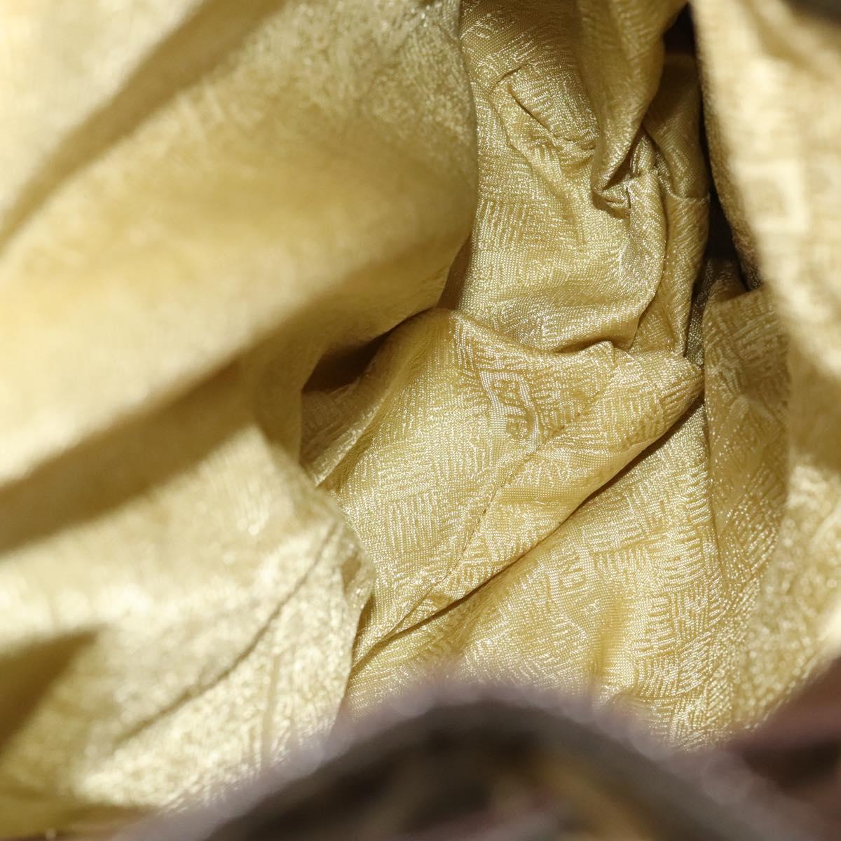 BOTTEGA VENETA Backpack Nylon Brown Gold Auth bs27978