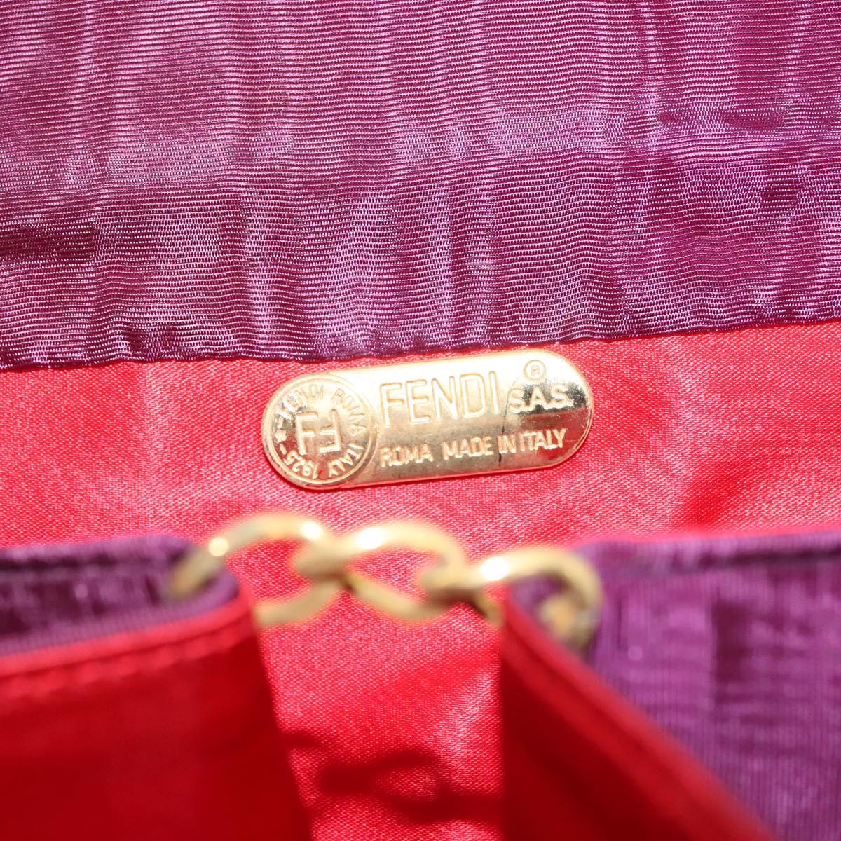 FENDI Clutch Bag Nylon Purple Gold Auth bs28906