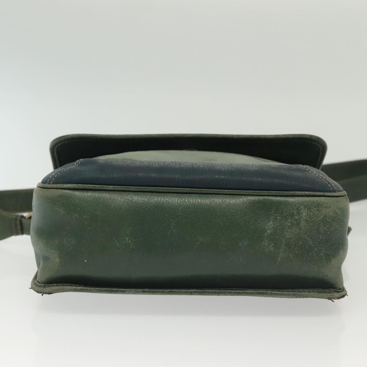 LOEWE Velazquez Shoulder Bag Leather Green Gold Auth bs28944