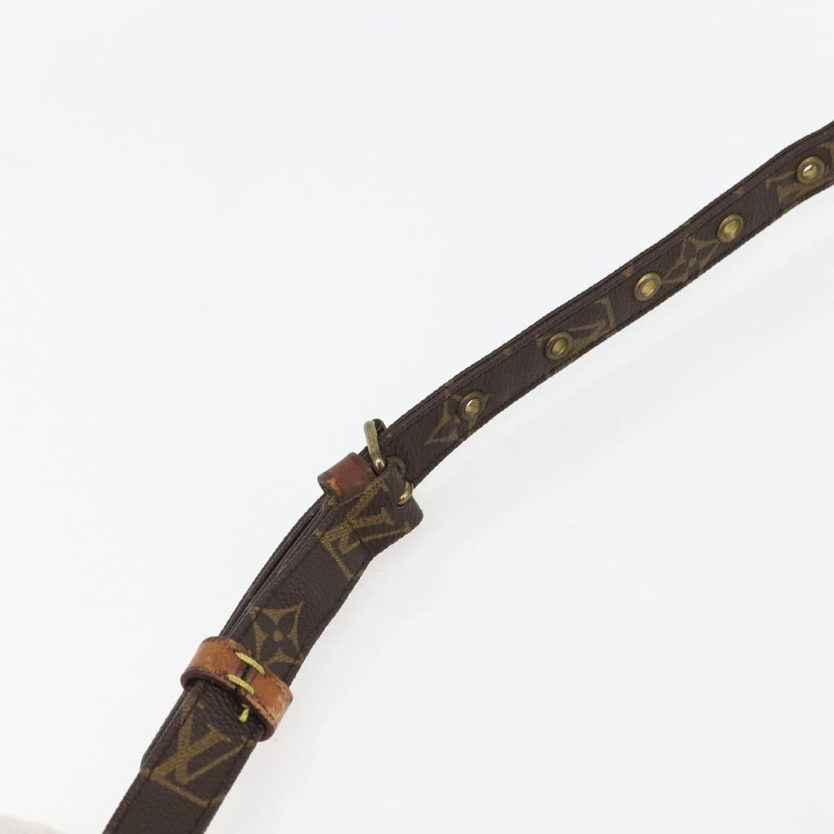 LOUIS VUITTON Monogram Amazon MM Shoulder Bag M45234 LV Auth bs29437