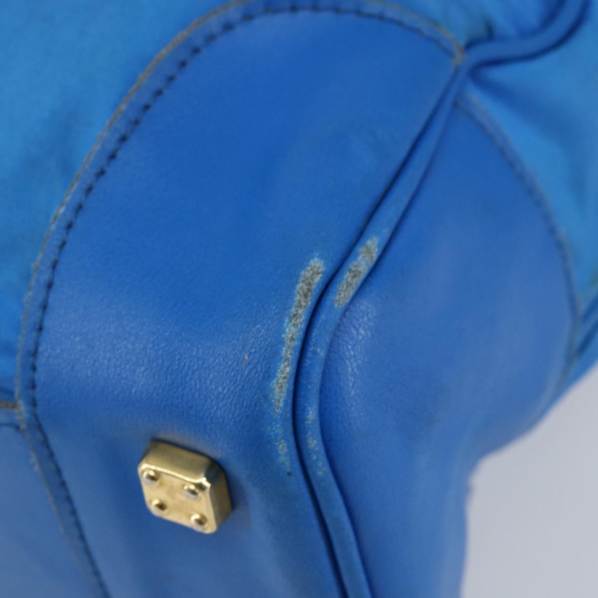 LOEWE Anagram Amazonas Hand Bag Nylon Blue Gold Auth bs29731