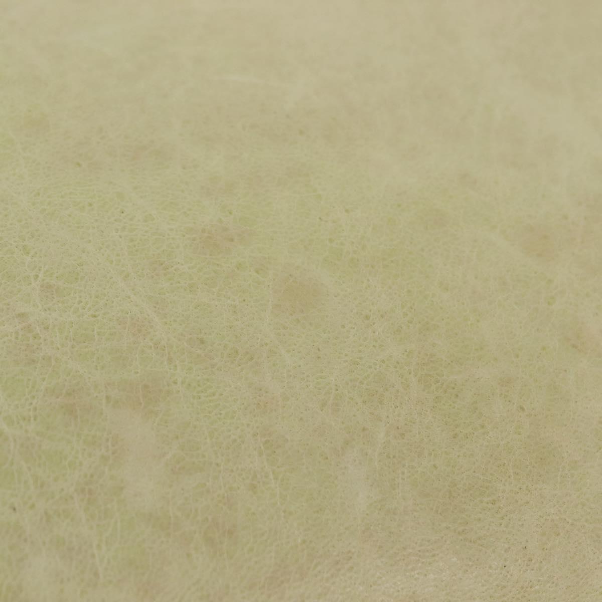 BALENCIAGA The Giant Envelope Bag Leather Silver Light Green 186182 Auth bs29813