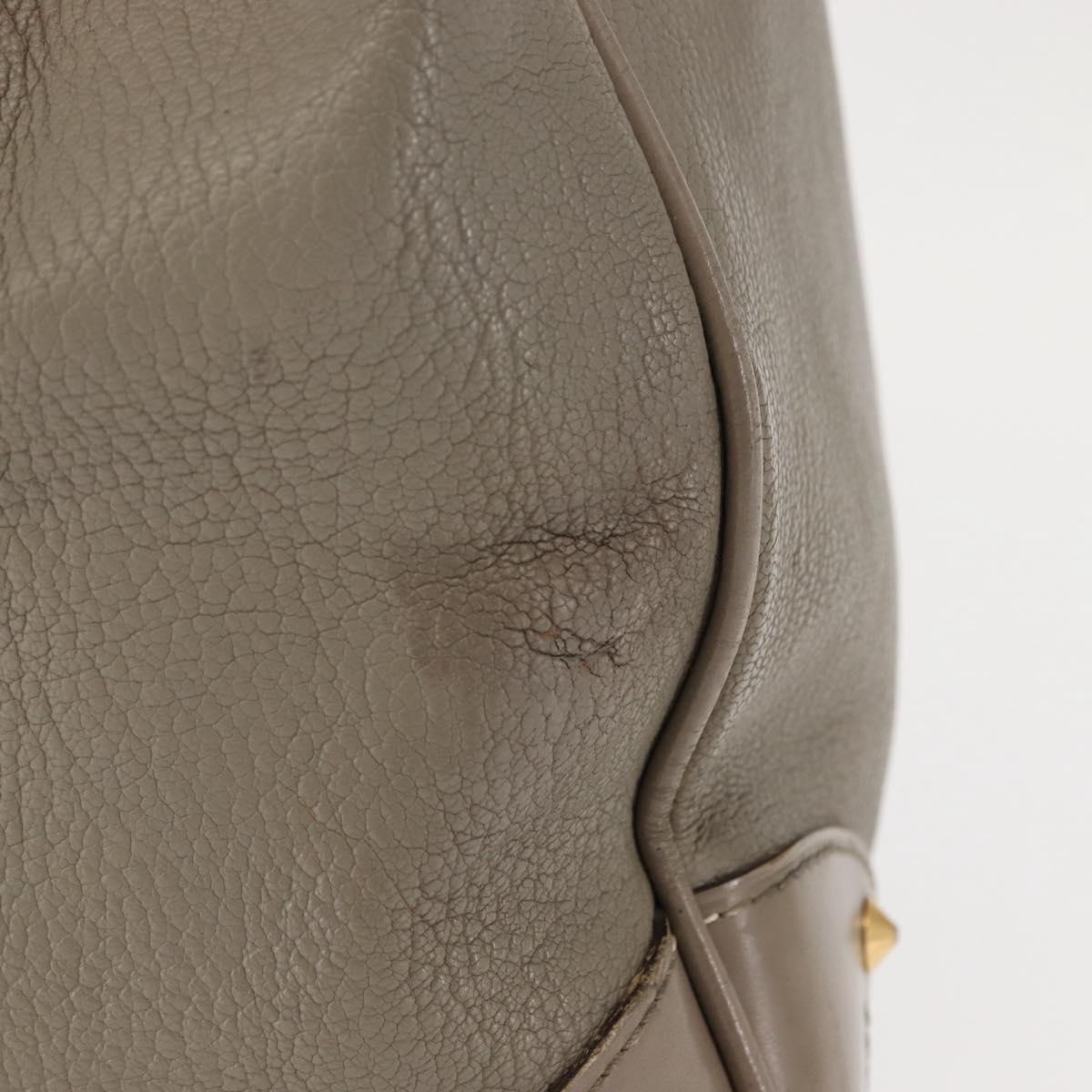 LOUIS VUITTON Suhari Majestu Hand Bag Gray M95652 LV Auth bs29987