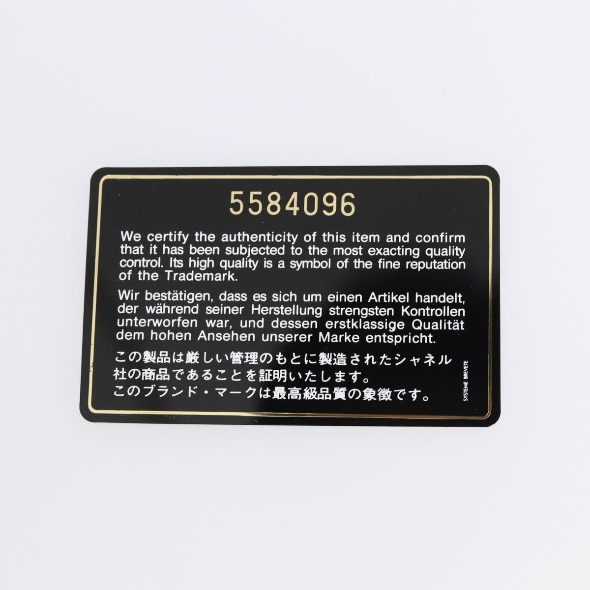 CHANEL Travel line Garment Cover Nylon Black CC Auth bs30653