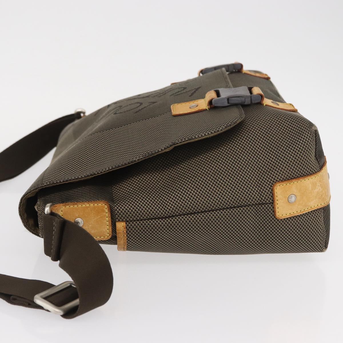 LOUIS VUITTON Damier Geant Roux Shoulder Bag Tail M93077 LV Auth bs30705