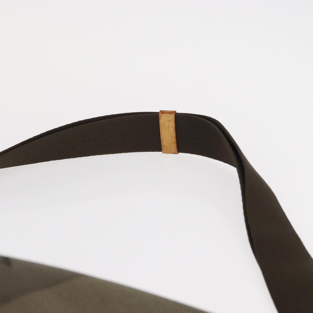 LOUIS VUITTON Damier Geant Roux Shoulder Bag Tail M93077 LV Auth bs30705