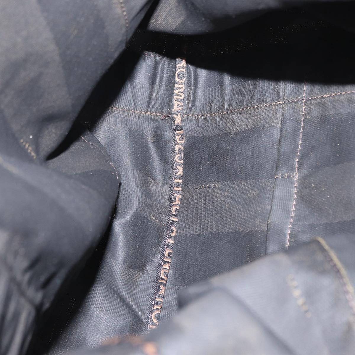 FENDI Pecan Canvas Hand Bag Nylon Black Brown Auth bs30795