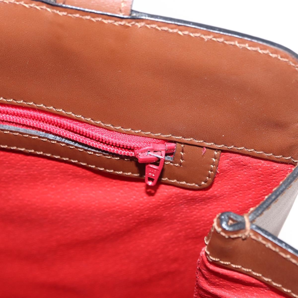 CELINE Shoulder Bag Leather Brown Gold Auth bs31024