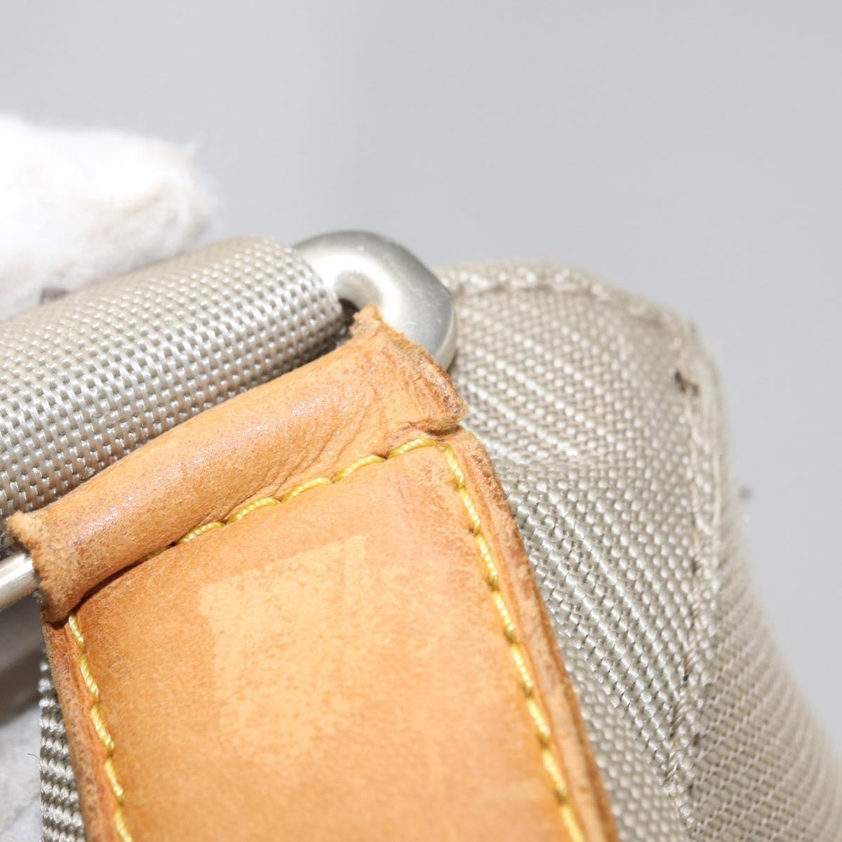 LOUIS VUITTON Damier Geant Compignon Messenger Bag Gray M93046 LV Auth bs31309