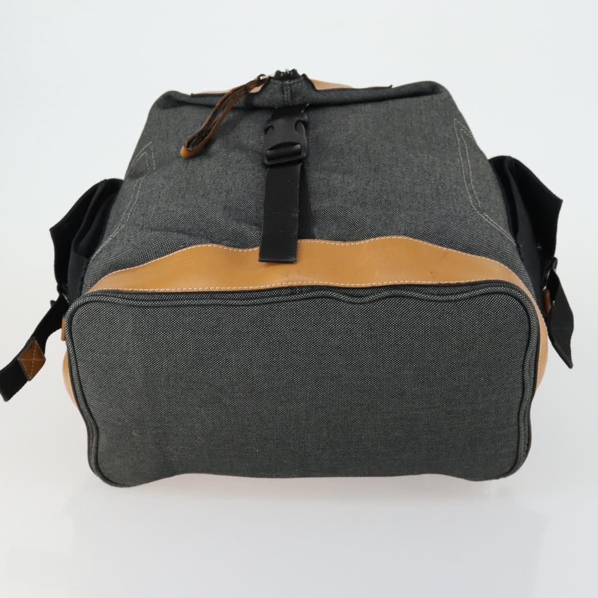 LOEWE Eye Nature Convertible Backpack Canvas Leather Gray Silver Auth bs31537